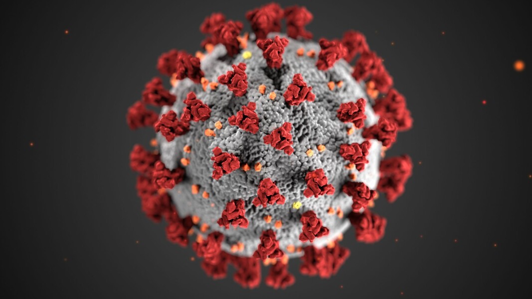 Illustrasjonsbilde av koronaviruset