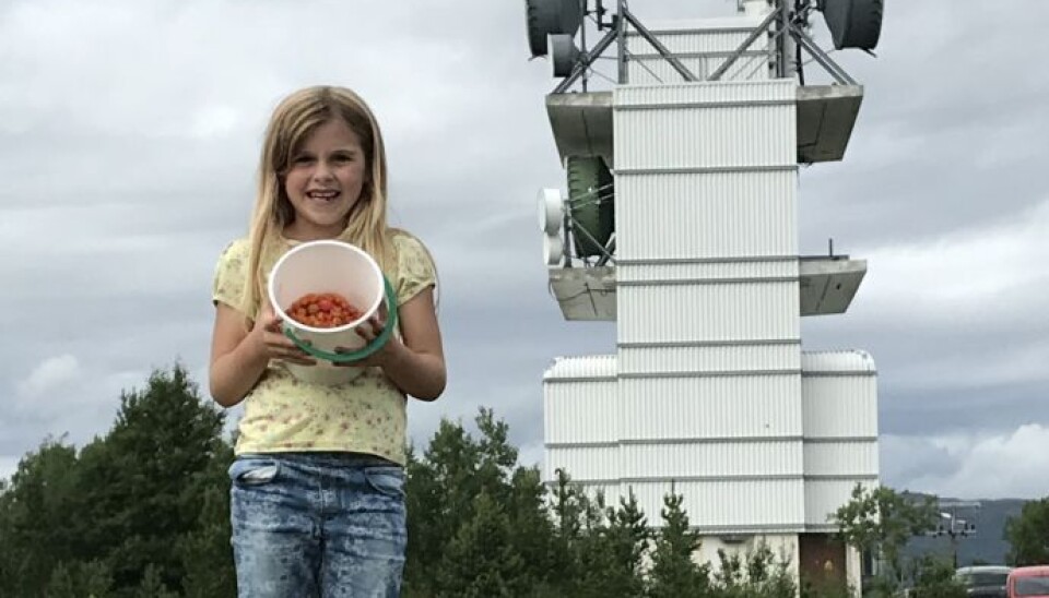 Lone Sandum 7 år