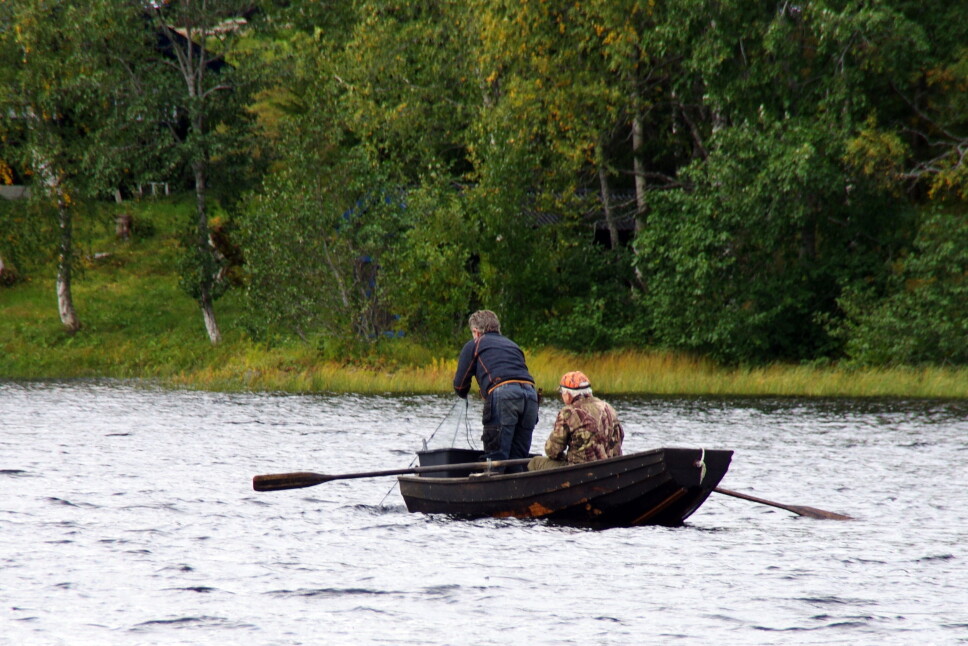 Sjøklein på Rørvatnet