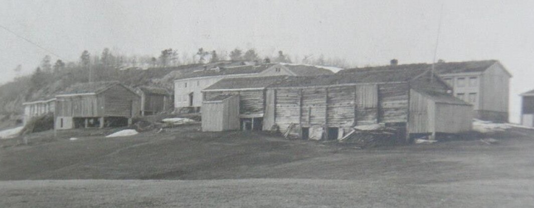 Bilde av begge Storholt-gardene før brannen Bilde av begge Storholt-gardene før brannen