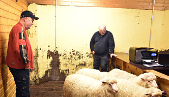Dommerparet Kent Berg og Atle Moen Dommerparet Kent Berg og Atle Moen