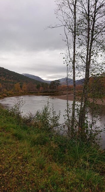 Fremdeles fine høstfarger. Fremdeles fine høstfarger.