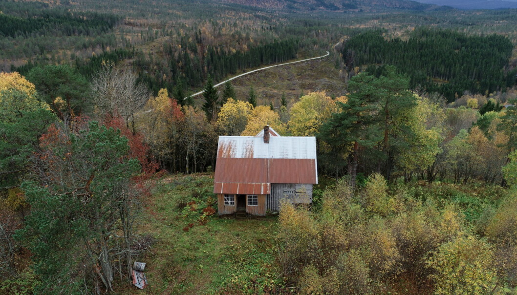Oppheim med Furhaugmarka i bakgrunnen Oppheim med Furhaugmarka i bakgrunnen