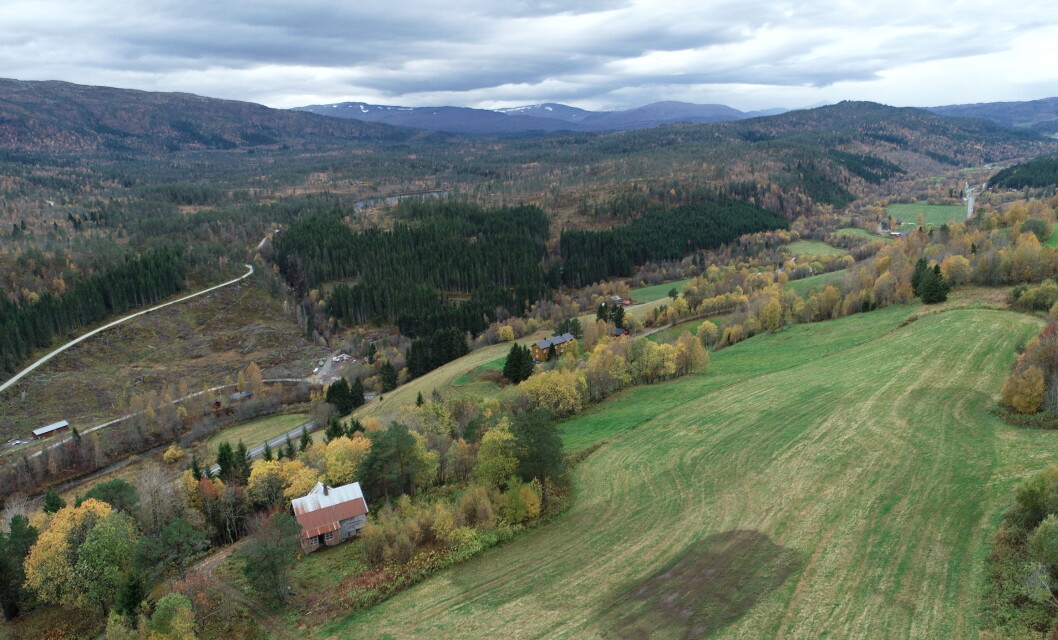 Oppheim med utsikt over Furuhaugen og Furuhaugmarka Oppheim med utsikt over Furuhaugen og Furuhaugmarka