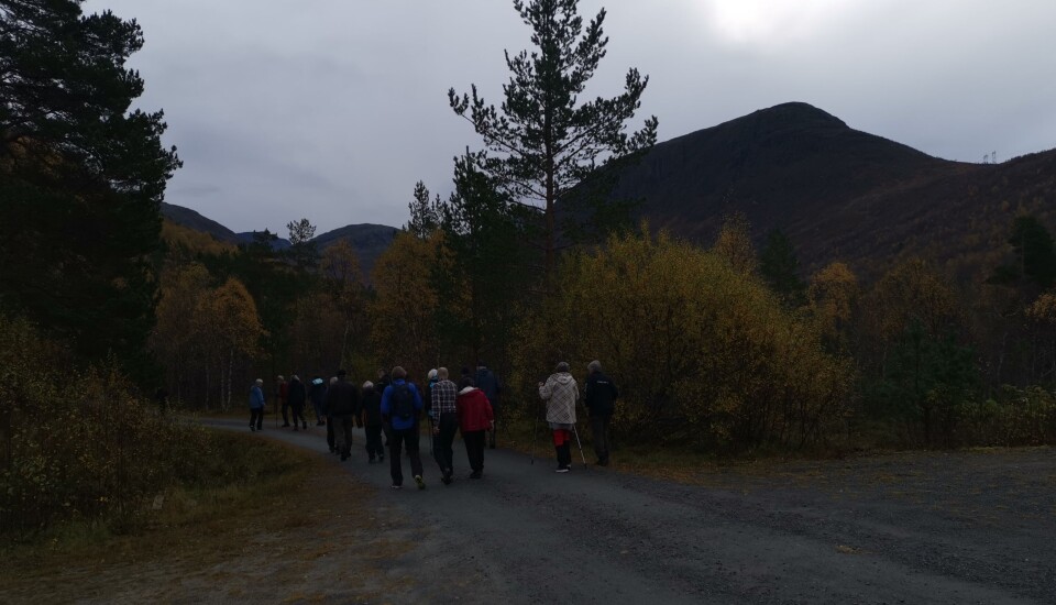 Stavgang i Kvenndalen