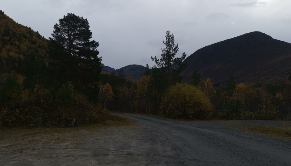 Stavgang i Kvenndalen