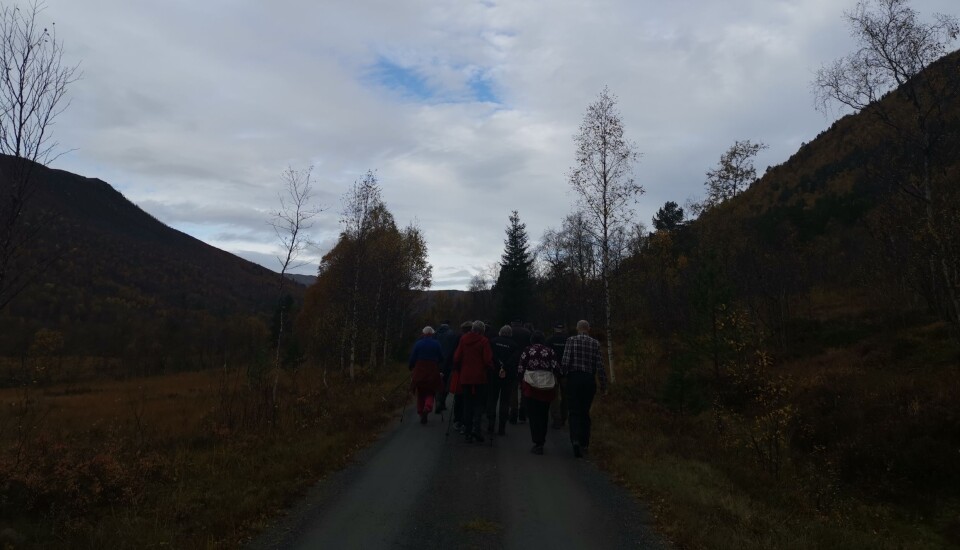 Stavgang i Kvenndalen