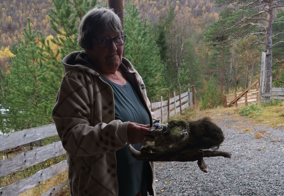 Stavgang i Kvenndalen
