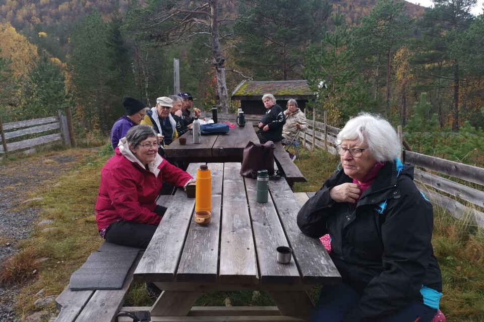 Stavgang i Kvenndalen