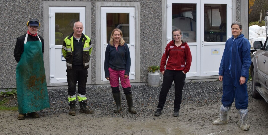 Forskeren er veldig glad for at gardbrukerne lar henne få komme til dem for å ta prøver av friske dyr. F.v. Trond Løfaldli, Inge Christensen, Kristin Ingdal, veterinær Ildri Bolme og Marianne Gilhuus. Forskeren er veldig glad for at gardbrukerne lar henne få komme til dem for å ta prøver av friske dyr. F.v. Trond Løfaldli, Inge Christensen, Kristin Ingdal, veterinær Ildri Bolme og Marianne Gilhuus.