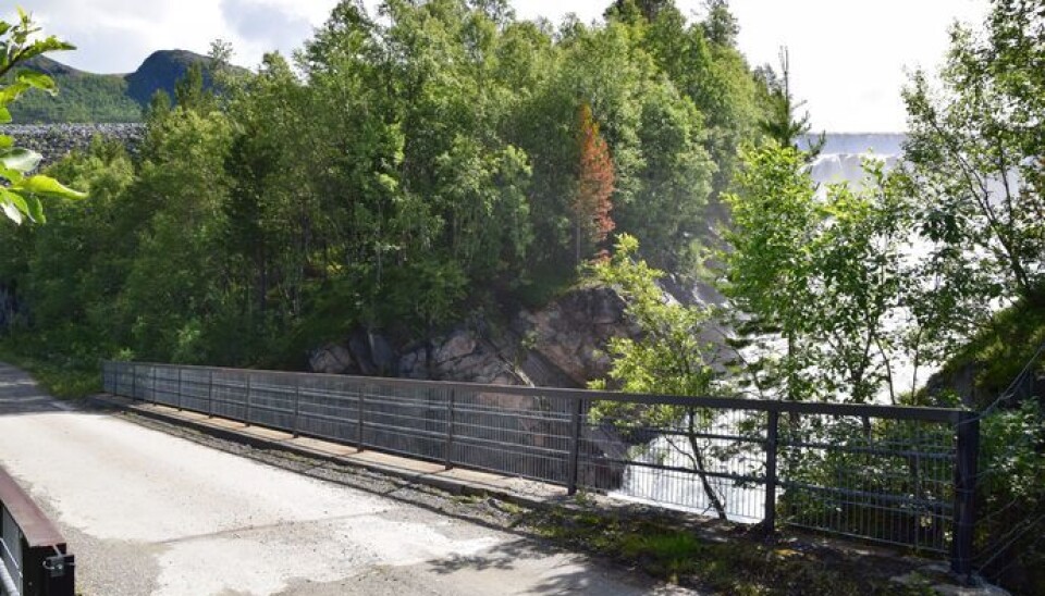 Forbereder storprosjekt i Folddalen