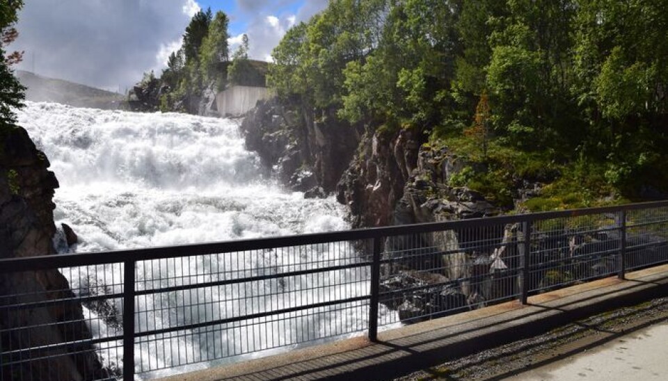 Forbereder storprosjekt i Folddalen