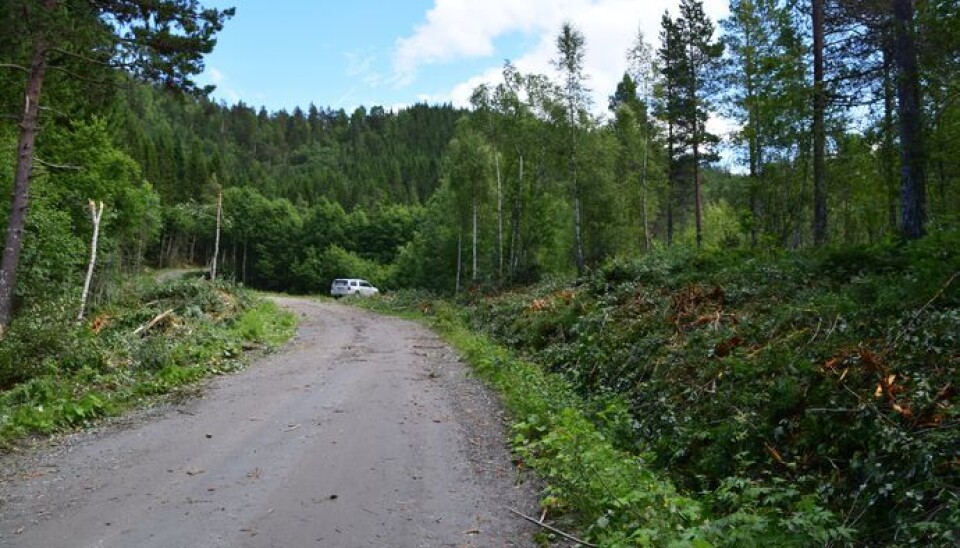 Forbereder storprosjekt i Folddalen
