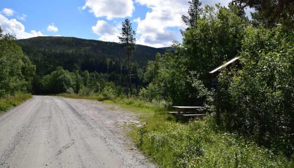 Forbereder storprosjekt i Folddalen