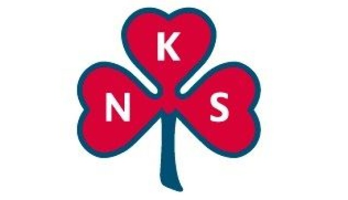 Medlemsmøter i sanitetsgruppa i Rindal