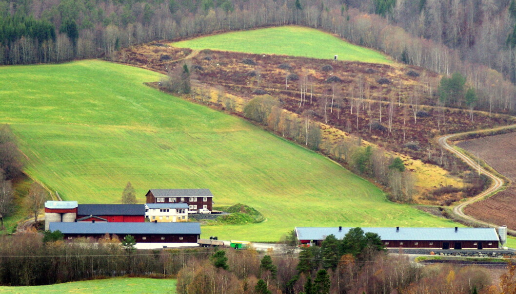 Lauvli gard, sett frå andre sida av elva. Lauvli gard, sett frå andre sida av elva.