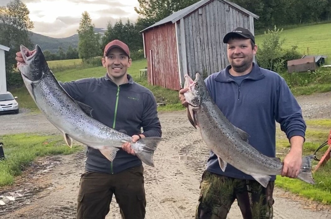 Erik Landsem med en laks på 11 kg og Rune Fosseide med en laks på 9 kg, tatt samme dag i Rindal i juli. Erik Landsem med en laks på 11 kg og Rune Fosseide med en laks på 9 kg, tatt samme dag i Rindal i juli.