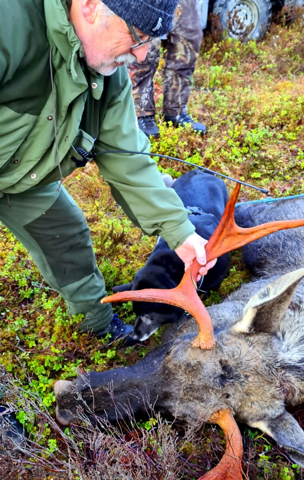 Med lang puslespellerfaring konstaterte Tore Landsem at hornet passa. Med lang puslespellerfaring konstaterte Tore Landsem at hornet passa.