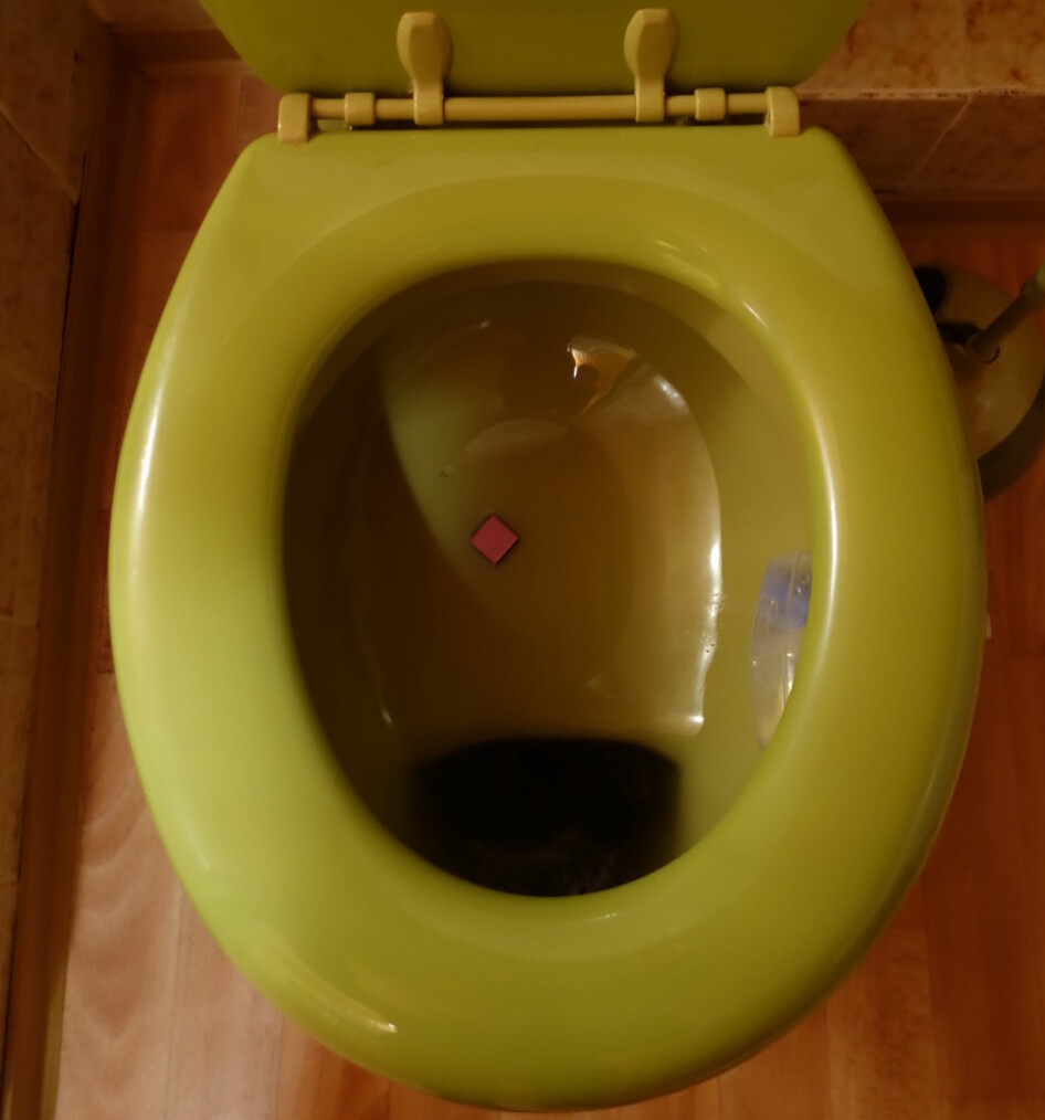 I alpene har toalettene ofte en 'inspeksjonshylle', slik at du kan beundre og inspisere din avføring før du skyller ned. Her demonstrert med en lakris, trolig innkjøpt på en taxfree-butikk.