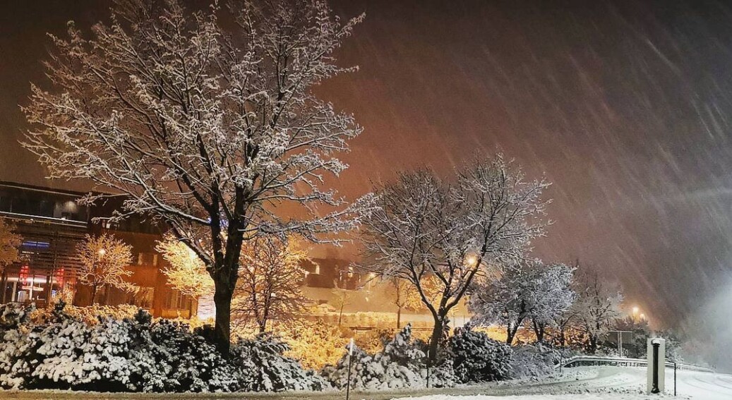 Været er bare så som så, når det både stormer snør sidelengs, men det kan være trivelig for det😊 Været er bare så som så, når det både stormer snør sidelengs, men det kan være trivelig for det😊