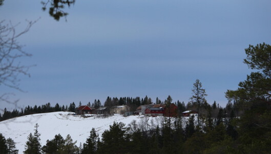 Her ser du sørsida av gårdene Stomprød og Storli som har flott utsikt mot Trollheimen. Her ser du sørsida av gårdene Stomprød og Storli som har flott utsikt mot Trollheimen.