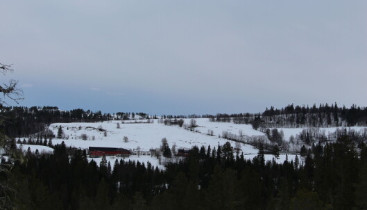 Fra skiløypa kan du se mot Helgetungårdene. Fra skiløypa kan du se mot Helgetungårdene.