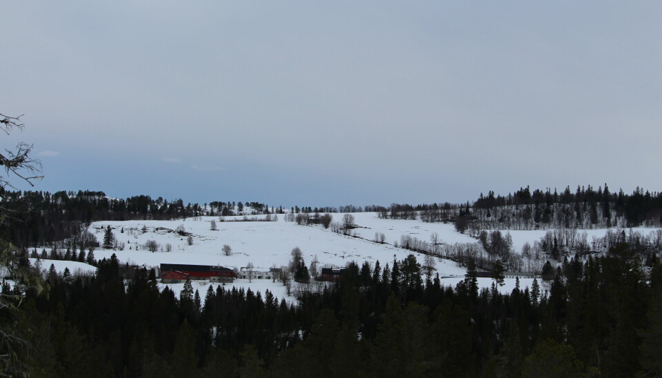 Fra skiløypa kan du se mot Helgetungårdene.