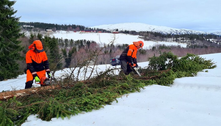 Gutane praktiserer kvistinga dei har lært. Gutane praktiserer kvistinga dei har lært.