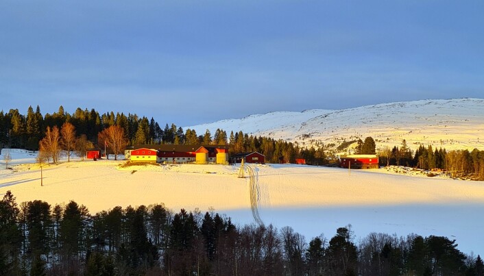 Gåsvatn Gåsvatn