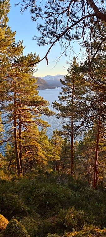 Mot Stangvik sett fra Flesastranda Mot Stangvik sett fra Flesastranda