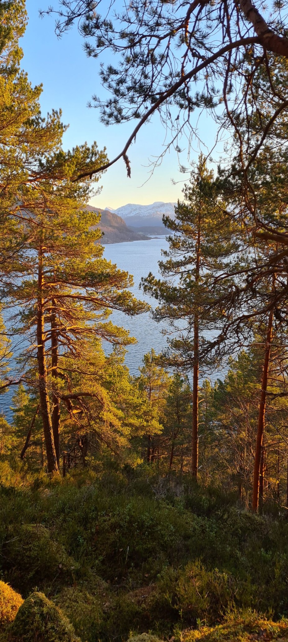 Mot Stangvik sett fra Flesastranda