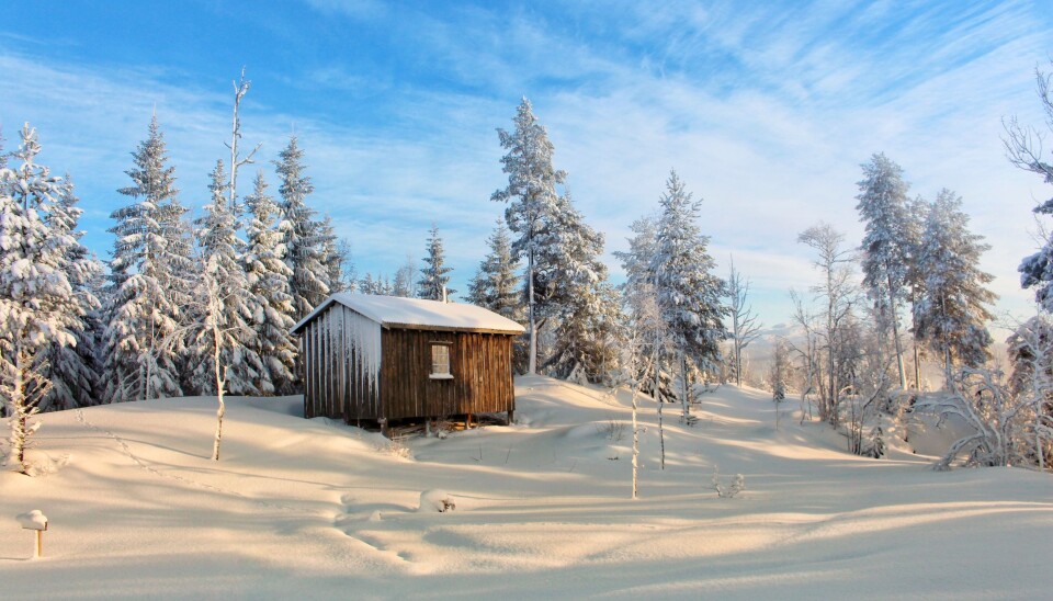 Bilde av Haraldhøtta på Tiursåsen i Åsan, blir motiv på årets Fjelltrimmenkrus.