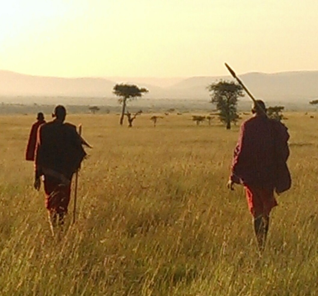 Walking safari i Masai Mara. Walking safari i Masai Mara.