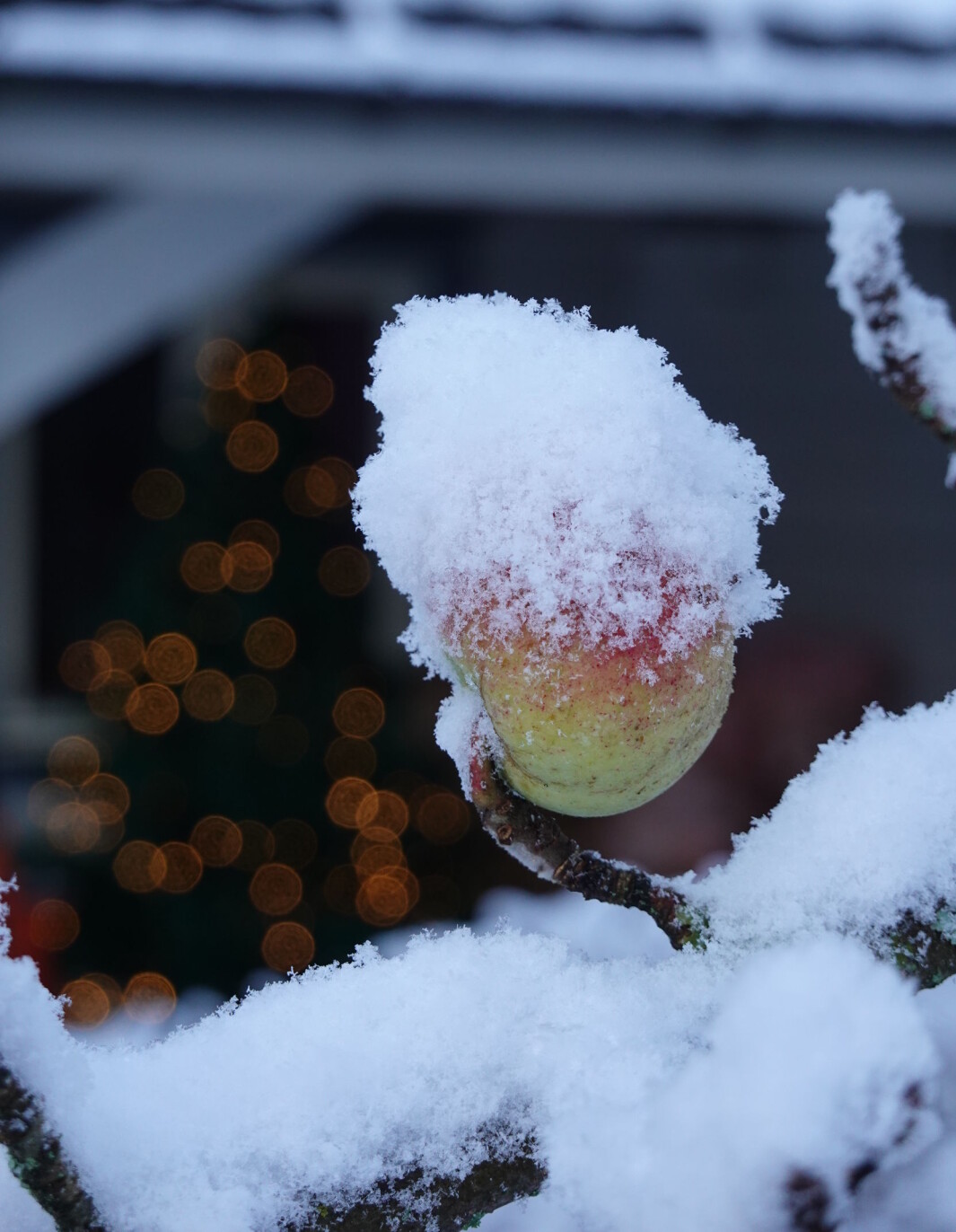 God jul fra Apriliadamen God jul fra Apriliadamen