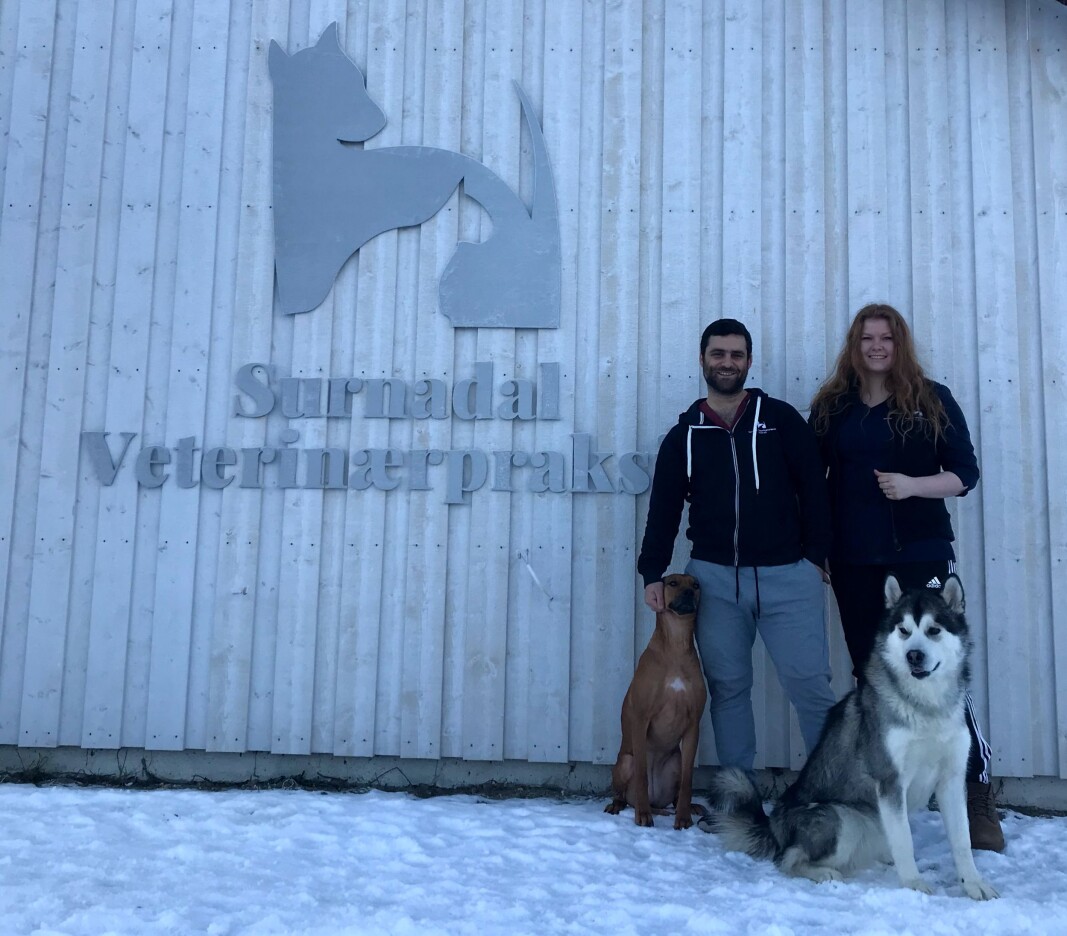 Veterinærparet på Surnadal Veterinærpraksis med firbente familiemedlemmer Veterinærparet på Surnadal Veterinærpraksis med firbente familiemedlemmer