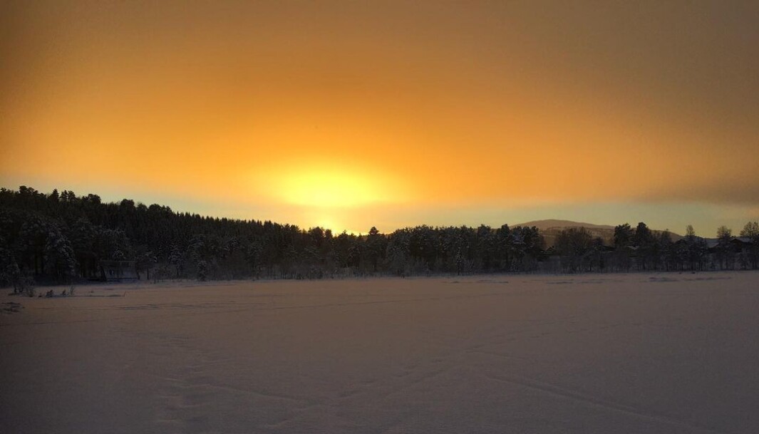 Vinterlyset. Igltjønna. Vinterlyset. Igltjønna.