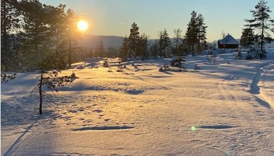 Skispor i Furuhaugmarka?