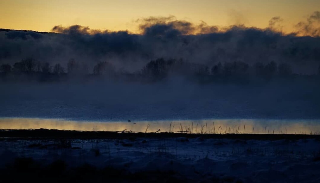 Ganske kaldt om dagen #frostrøyk #vinter Ganske kaldt om dagen #frostrøyk #vinter
