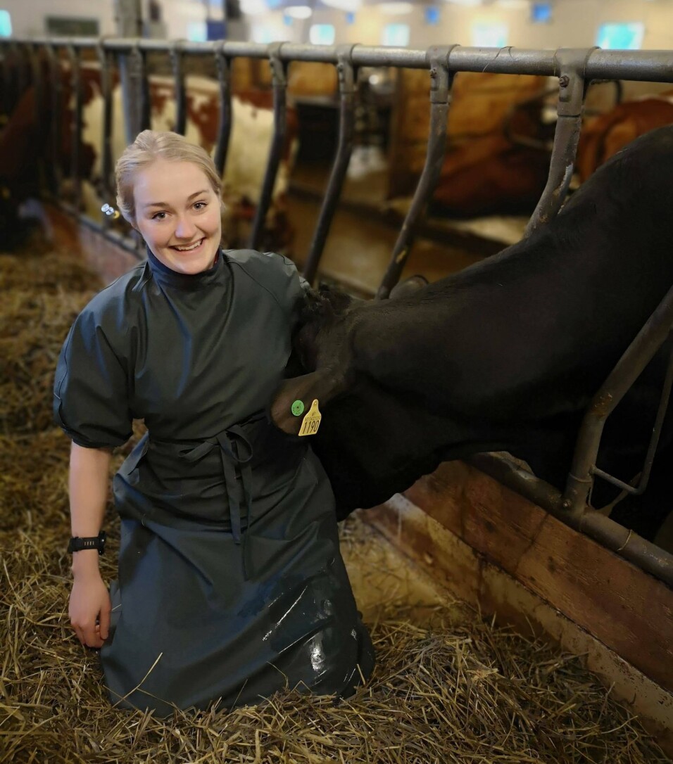 Silje Mogstad Finstad