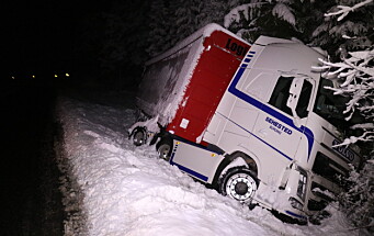 Stort snøfall førte til trafikkproblemer på E39