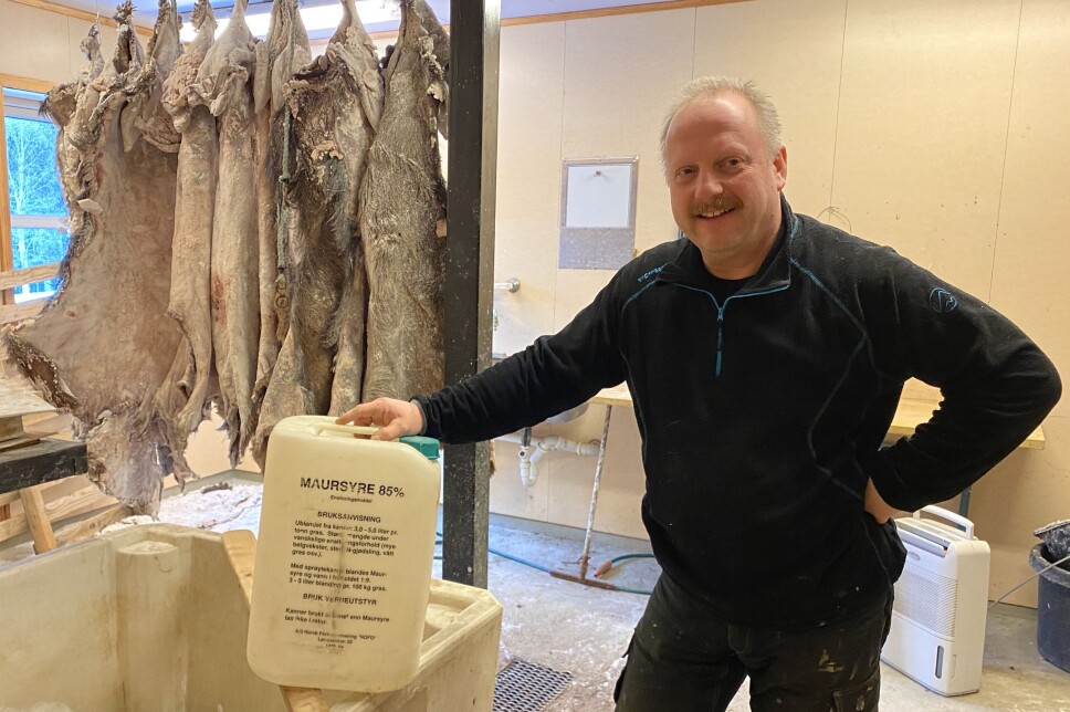 Ole Geir Schanke hadde behov for mer blank maursyre til beredning av skinn for utstopping, og det ordnet seg.