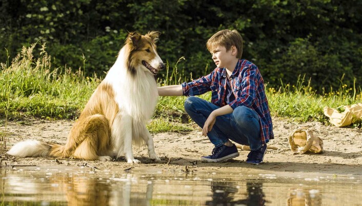 Foto frå "Lassie kommer hjem" Foto frå "Lassie kommer hjem"