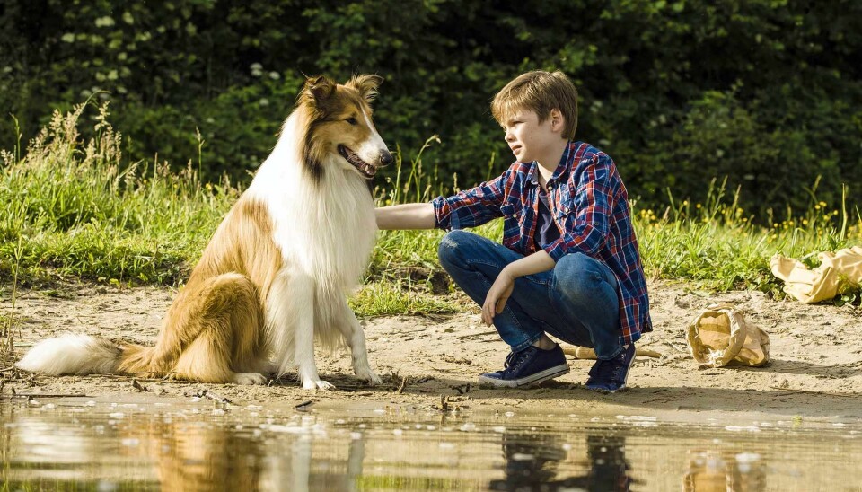 Foto frå 'Lassie kommer hjem'