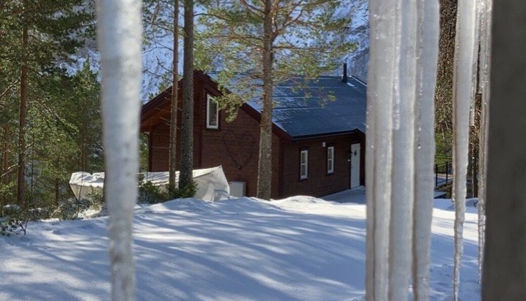 Venter på våren Venter på våren