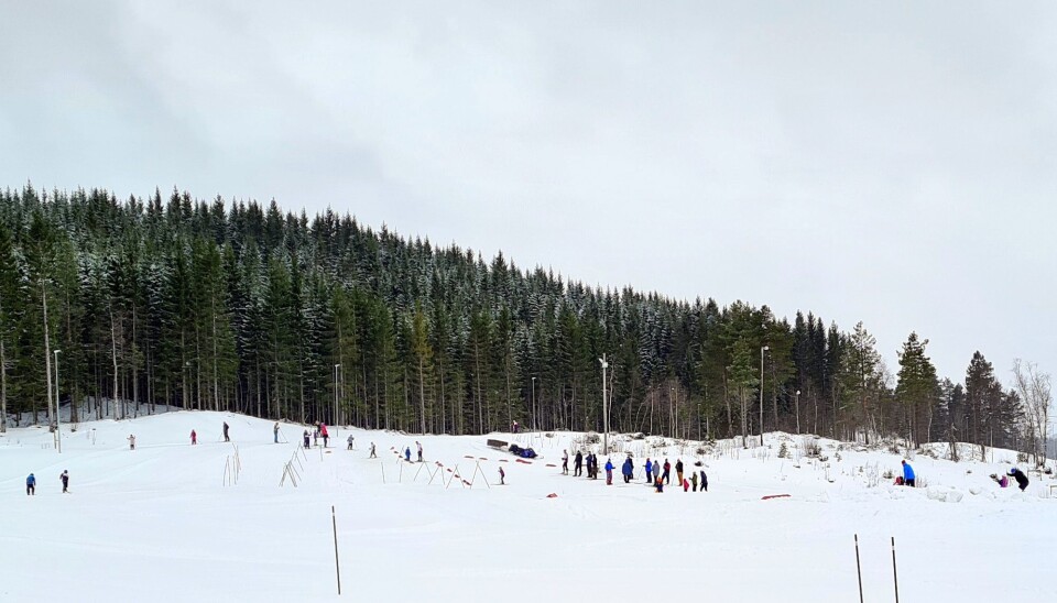 Snøleik i mars-ver