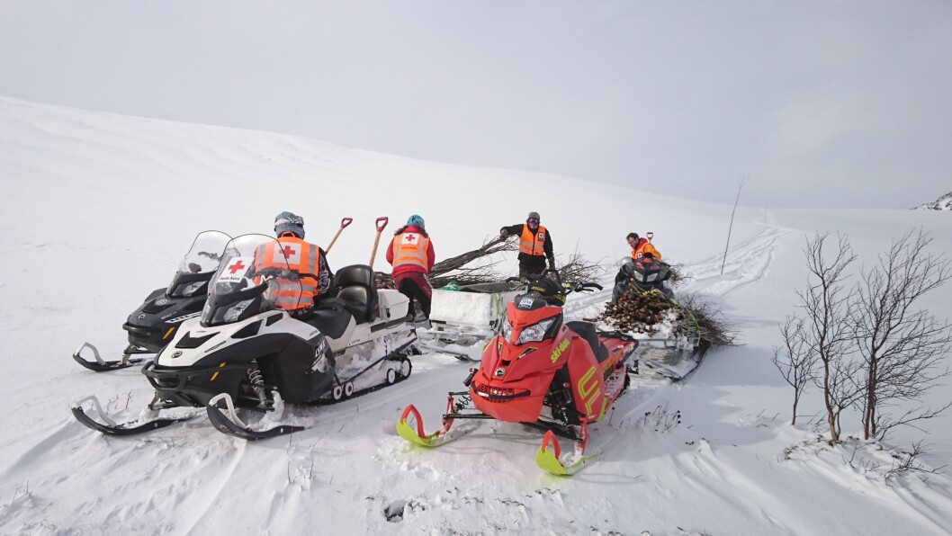 Fra merking av trekanten i Trollheimen Fra merking av trekanten i Trollheimen