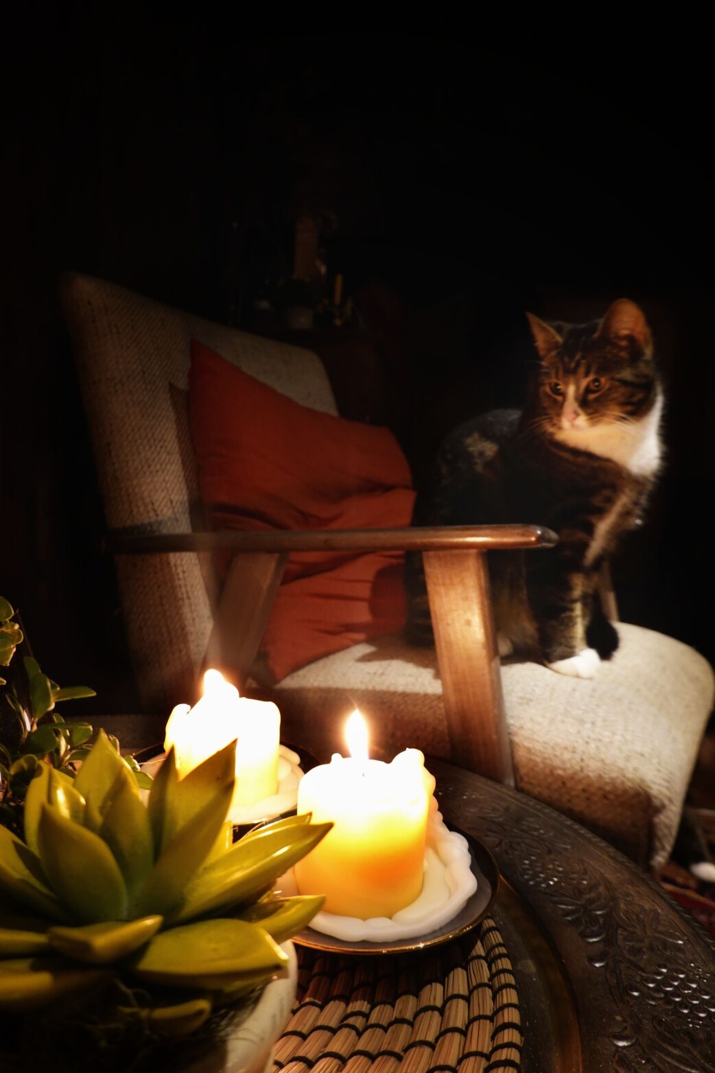 Denne påska har det vært mye innekos. Denne påska har det vært mye innekos.