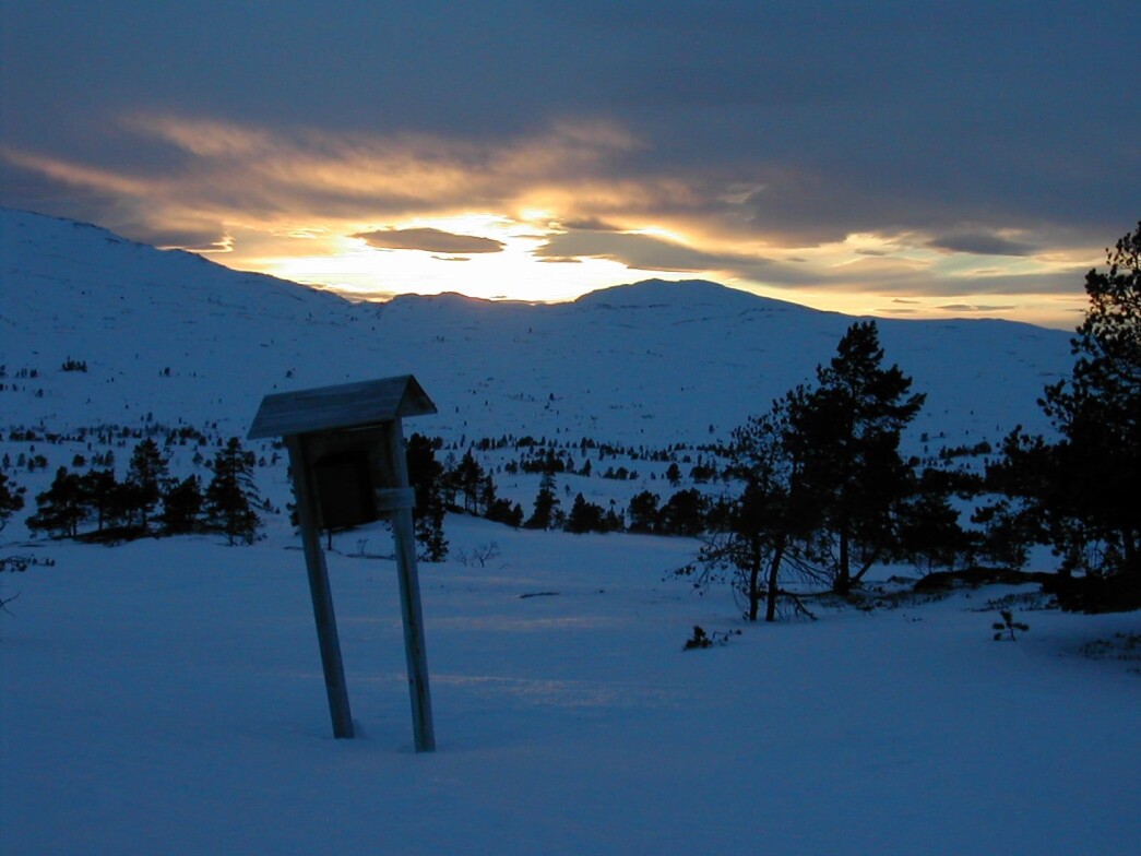 Trimboks Litjbøludalen. Trimboks Litjbøludalen.