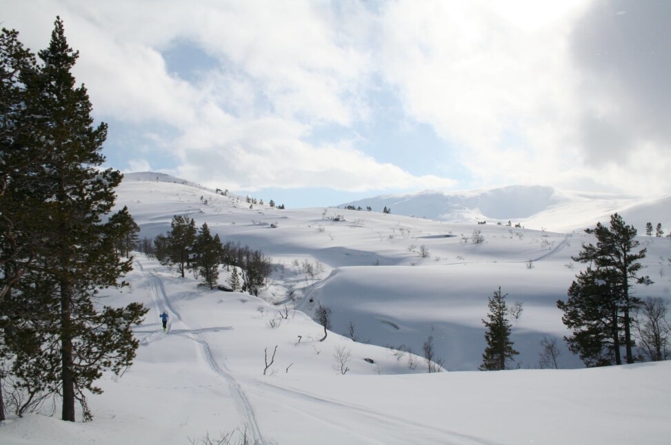 Litjbøludalen. Litjbøludalen.