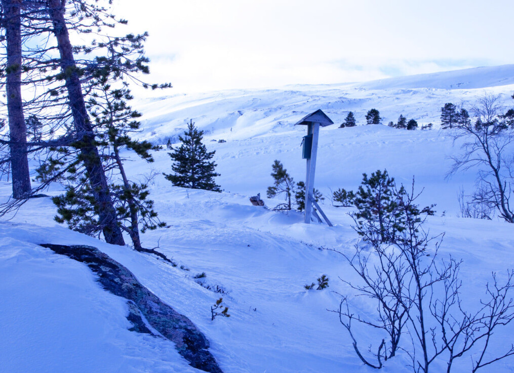 Trimboksen ved Stortelet. Trimboksen ved Stortelet.